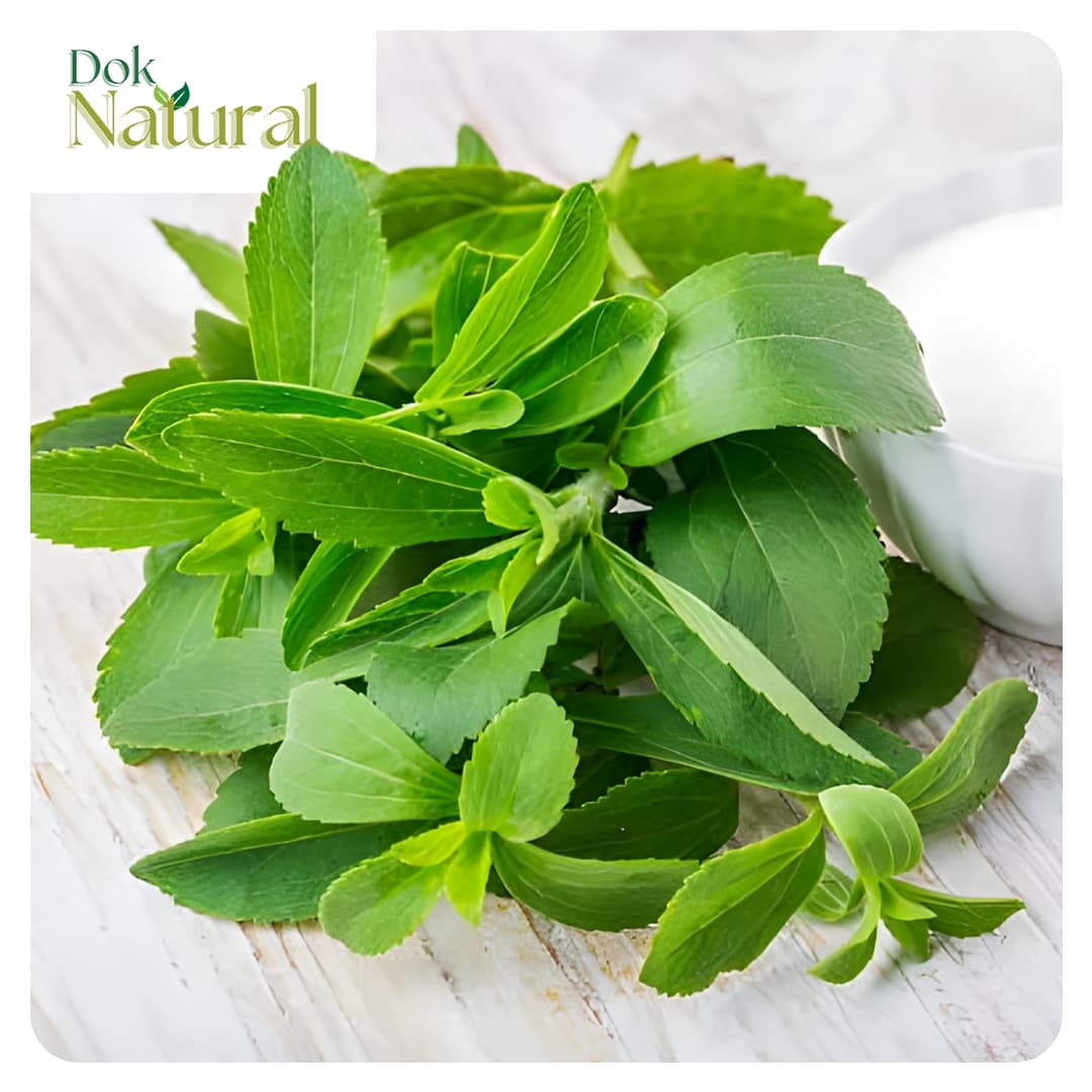 Stevia — Likas na Sangkap ng DOK NATURAL Herbal Food Supplement Drops